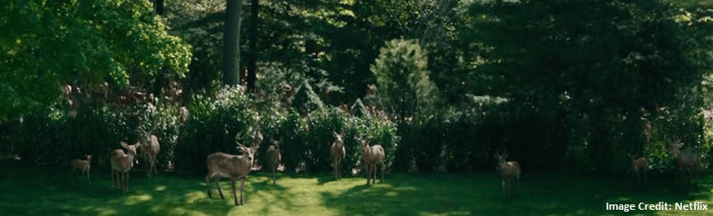 Deer acting strangely - Leave the World Behind - Netflix